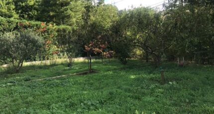 Pignans Terrain à bâtir - 2496077-5622annonce2202604281BA8x.jpeg Maisons Open