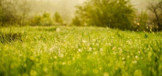 Terrain à bâtir à Monnerville, Île-de-France