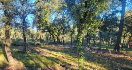 Le Thoronet Terrain à bâtir - 2441805-11723annonce320260226yIJ0P.jpeg Maisons Open