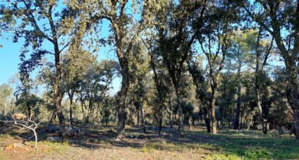 Le Thoronet Terrain à bâtir - 2441805-11723annonce420260226rulkL.jpeg Maisons Open