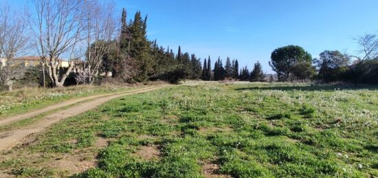 Terrain à bâtir à Moussan, Occitanie