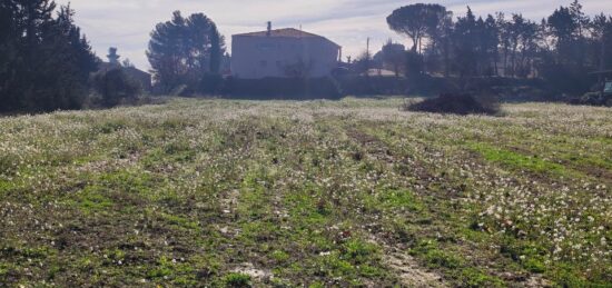 Terrain à bâtir à Moussan, Occitanie