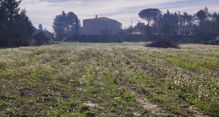 Moussan Terrain à bâtir - 2434511-11782annonce1202602196hLxa.jpeg Maisons Open