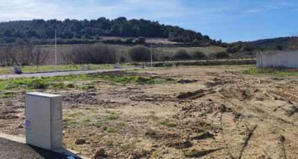 Portel-des-Corbières Terrain à bâtir - 2439816-11782annonce120260224lSIgn.jpeg Maisons Open