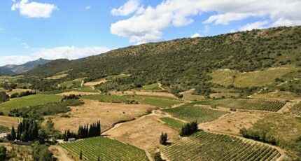 Ornaisons Terrain à bâtir - 2469913-11782annonce120260327r289e.jpeg Maisons Open