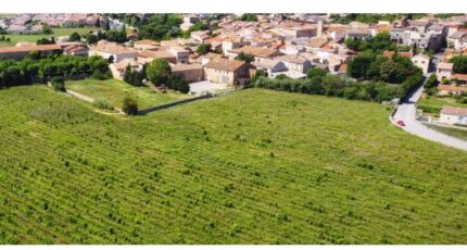 Bizanet Terrain à bâtir - 2470041-11782annonce120260327vEcFN.jpeg Maisons Open