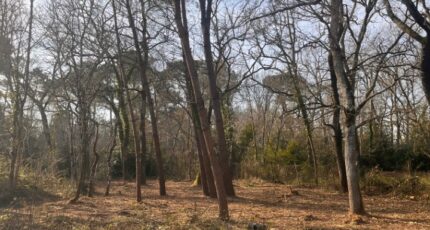 Landiras Terrain à bâtir - 2496306-3601annonce120260428xmUMi.jpeg Maisons Open