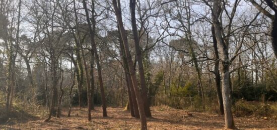 Terrain à bâtir à Landiras, Nouvelle-Aquitaine