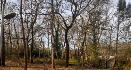 Landiras Terrain à bâtir - 2496306-3601annonce220260428fAbL7.jpeg Maisons Open