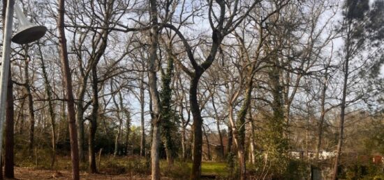 Terrain à bâtir à , Gironde