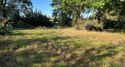 Loupes Terrain à bâtir - 2496327-11684annonce120260428aSWhz.jpeg Maisons Open