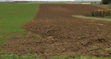 Duisans Terrain à bâtir - 2441688-6159annonce120260226hFx30.jpeg Maisons Open