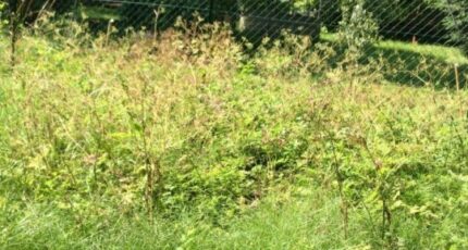 Melun Terrain à bâtir - 2495574-10626annonce420260428LS8vn.jpeg Maisons Open