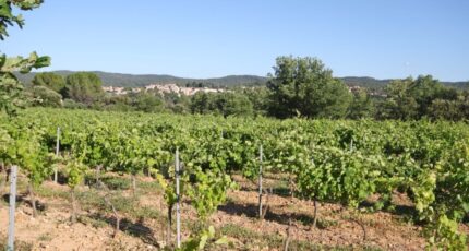 Carcès Terrain à bâtir - 2496465-10744annonce220250326fhTK9.jpeg Maisons Open