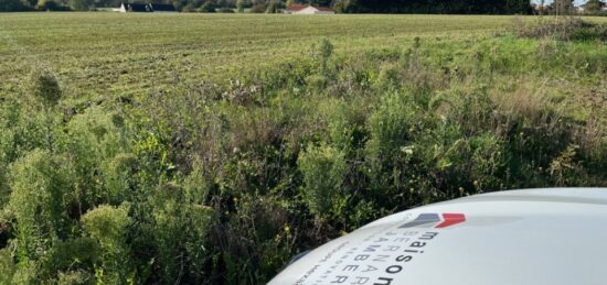 Terrain à bâtir à Mûrs-Erigné, Pays de la Loire
