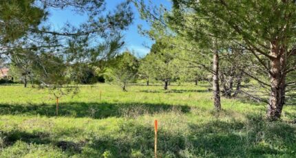 Caromb Terrain à bâtir - 2400125-3418annonce4202410071iTna.jpeg Maisons Open