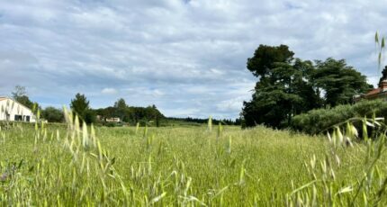 Domazan Terrain à bâtir - 2402559-3418annonce320260122bS4Os.jpeg Maisons Open