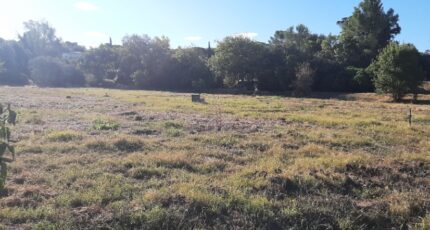 Fréjus Terrain à bâtir - 2496594-10295annonce220260107ekzaX.jpeg Maisons Open