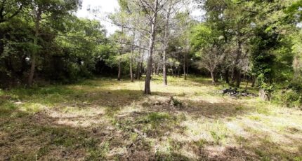 Flayosc Terrain à bâtir - 2496606-10295annonce120260105NAQMP.jpeg Maisons Open