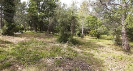 Flayosc Terrain à bâtir - 2496606-10295annonce220260105vyLTM.jpeg Maisons Open