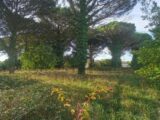  2467505-9573annonce1202603257Suv3.jpeg Maisons Open