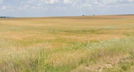 Saint-Doulchard Terrain à bâtir - 2442457-11786annonce120260227fvzvg.jpeg Maisons Open