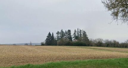 Crézancy-en-Sancerre Terrain à bâtir - 2445929-11786annonce120260303ph6xN.jpeg Maisons Open