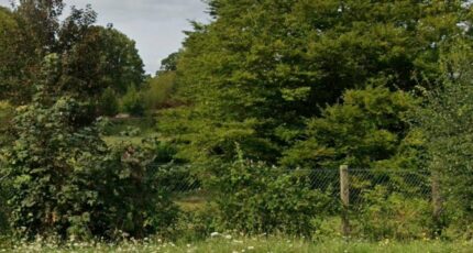 Achères Terrain à bâtir - 2448754-11786annonce120260305zGpdZ.jpeg Maisons Open