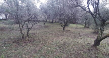 Draguignan Terrain à bâtir - 2496797-10295annonce1202604293JTDA.jpeg Maisons Open