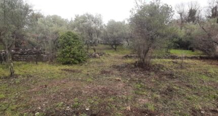 Draguignan Terrain à bâtir - 2496797-10295annonce320260429AqaMz.jpeg Maisons Open