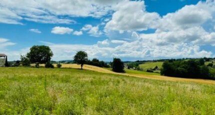 Saint-Donat-sur-l'Herbasse Terrain à bâtir - 2496629-11248annonce12026042905eSo.jpeg Maisons Open