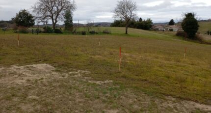 Hauterives Terrain à bâtir - 2496575-11248annonce320260429vGhoZ.jpeg Maisons Open