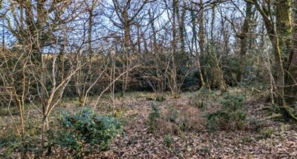 Rambouillet Terrain à bâtir - 2496993-11864annonce220260429Ee43y.jpeg Maisons Open