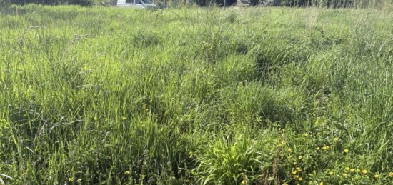 Terrain à bâtir à Gragnague, Occitanie