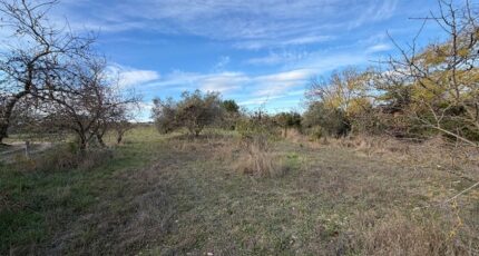 Paulhan Terrain à bâtir - 2408903-3243annonce220260127IMNuv.jpeg Maisons Open