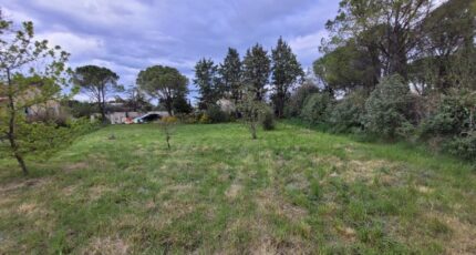 Sainte-Cécile-les-Vignes Terrain à bâtir - 2471091-812annonce520250407s25nU.jpeg Maisons Open