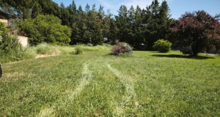 Saint-Maximin-la-Sainte-Baume Terrain à bâtir - 2497382-11039annonce120260429aB3gE.jpeg Maisons Open