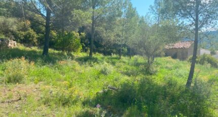 Bize-Minervois Terrain à bâtir - 2497278-692annonce1202604299Z14R.jpeg Maisons Open