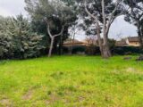  2497511-9707annonce12026043074eUb.jpeg Maisons Open