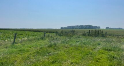 Fécamp Terrain à bâtir - 2467529-5578annonce120260325cBaDy.jpeg Maisons Open