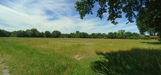 Terrain à bâtir à Lagraulet-Saint-Nicolas, Occitanie