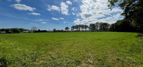 Terrain à bâtir à Le Perrier, Pays de la Loire