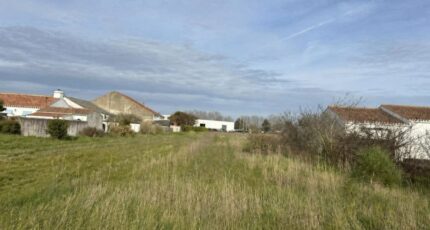 Barbâtre Terrain à bâtir - 2496364-11854annonce120260428x7ozb.jpeg Maisons Open