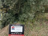  2498394-10544annonce120260430RLdwk.jpeg Maisons Open