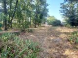  2498335-11137annonce1202512124s9Oa.jpeg Maisons Open