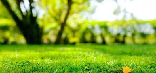 Terrain à bâtir à Maurepas, Île-de-France