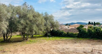 Cuers Terrain à bâtir - 2409582-9707annonce120260128zxRdg.jpeg Maisons Open