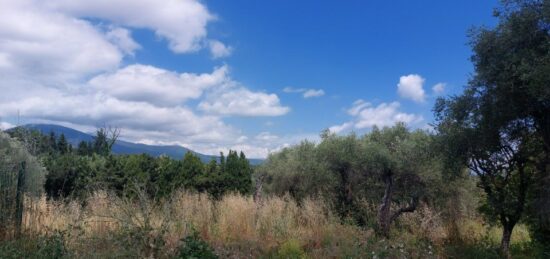 Terrain à bâtir à Opio, Provence-Alpes-Côte d'Azur