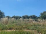  2498540-1837annonce220260430CfrJh.jpeg Maisons Open