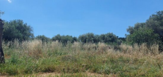 Terrain à bâtir à , Alpes-Maritimes